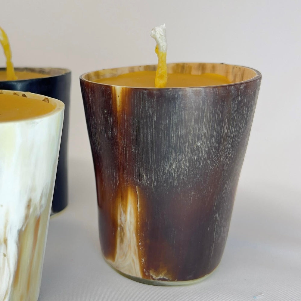 Beeswax Horn Candle