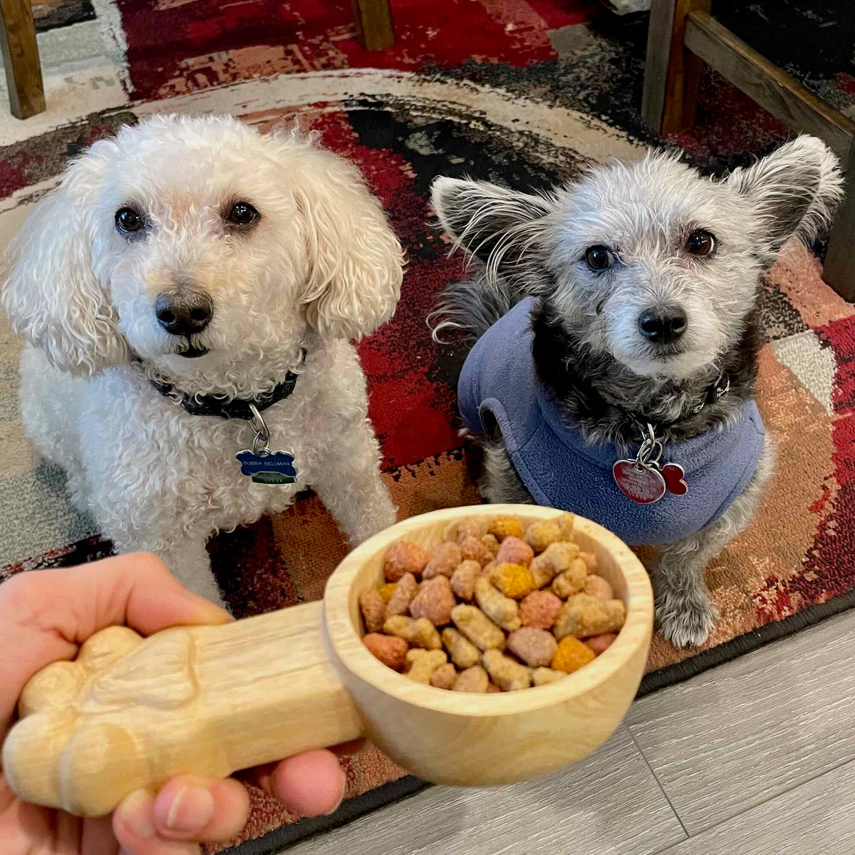 DogscoopSmall