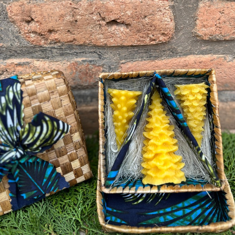 Pine Tree Candle Set in a Banana Leaf Box