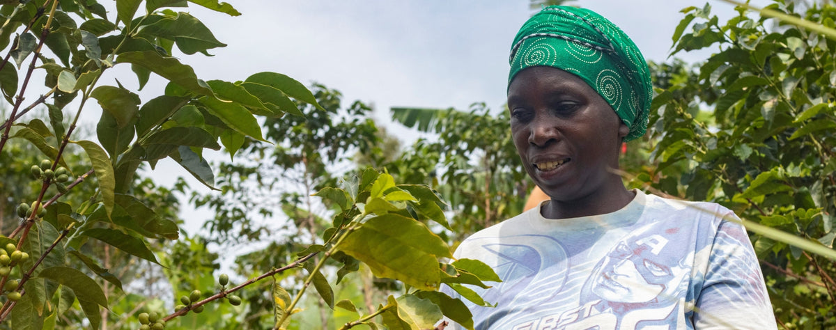 Prayer Update – December 2019