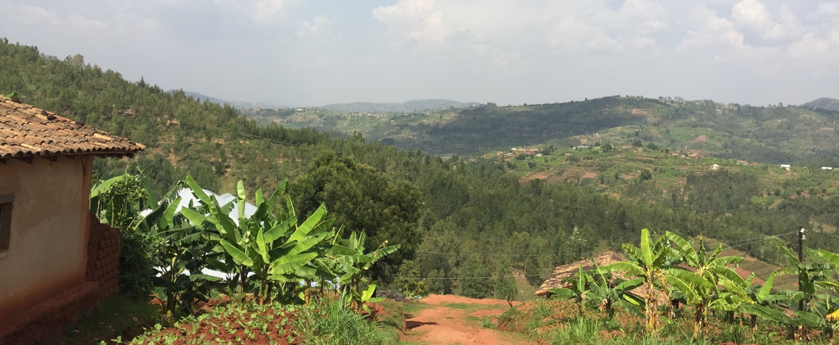 Choosing Hope: How Rwandans Keep Moving Toward a Brighter Tomorrow