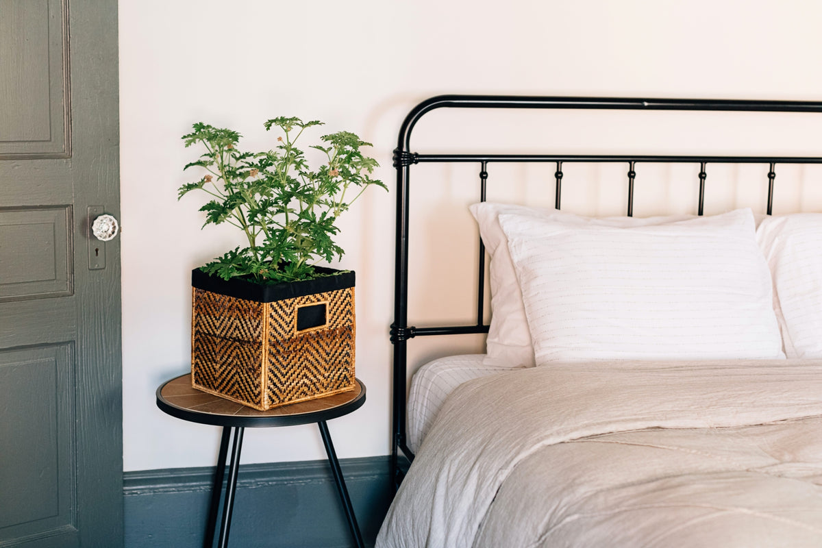 Give with Purpose: Gift Guide for the Green Thumb