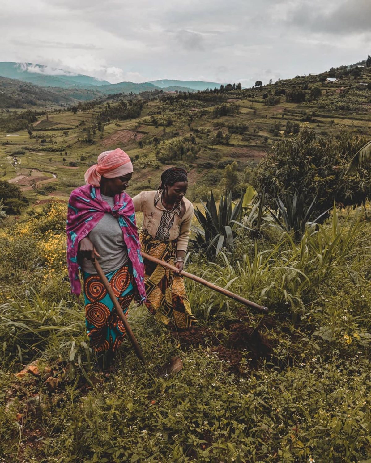 Sperathe cultivating her crops with neighbor