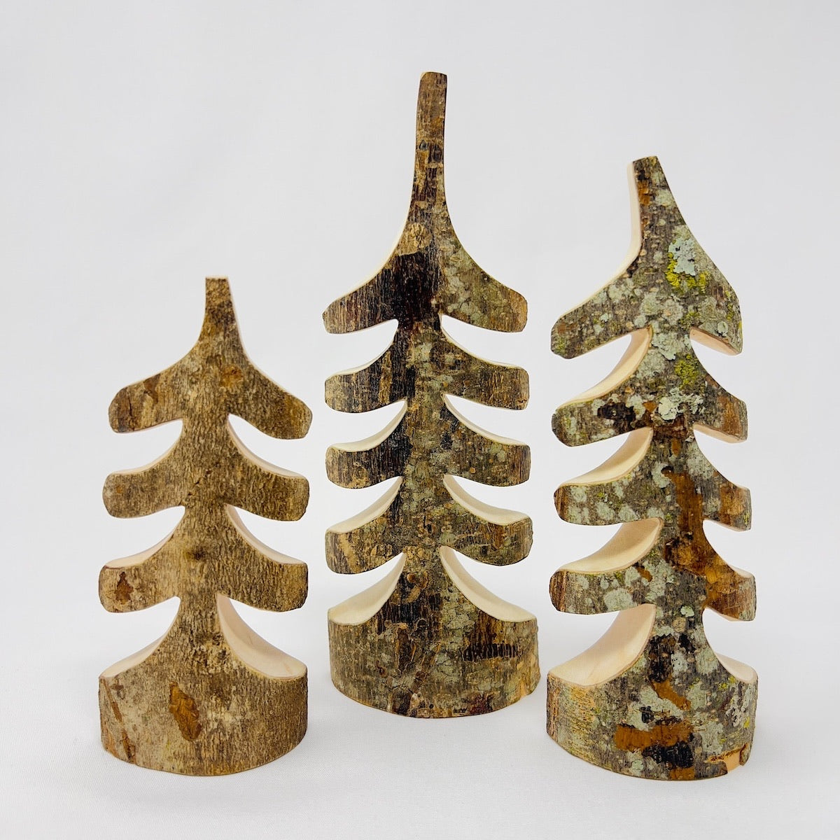 Trio of Trees Front
