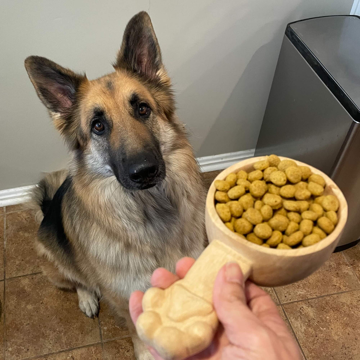 DogScoopLarge