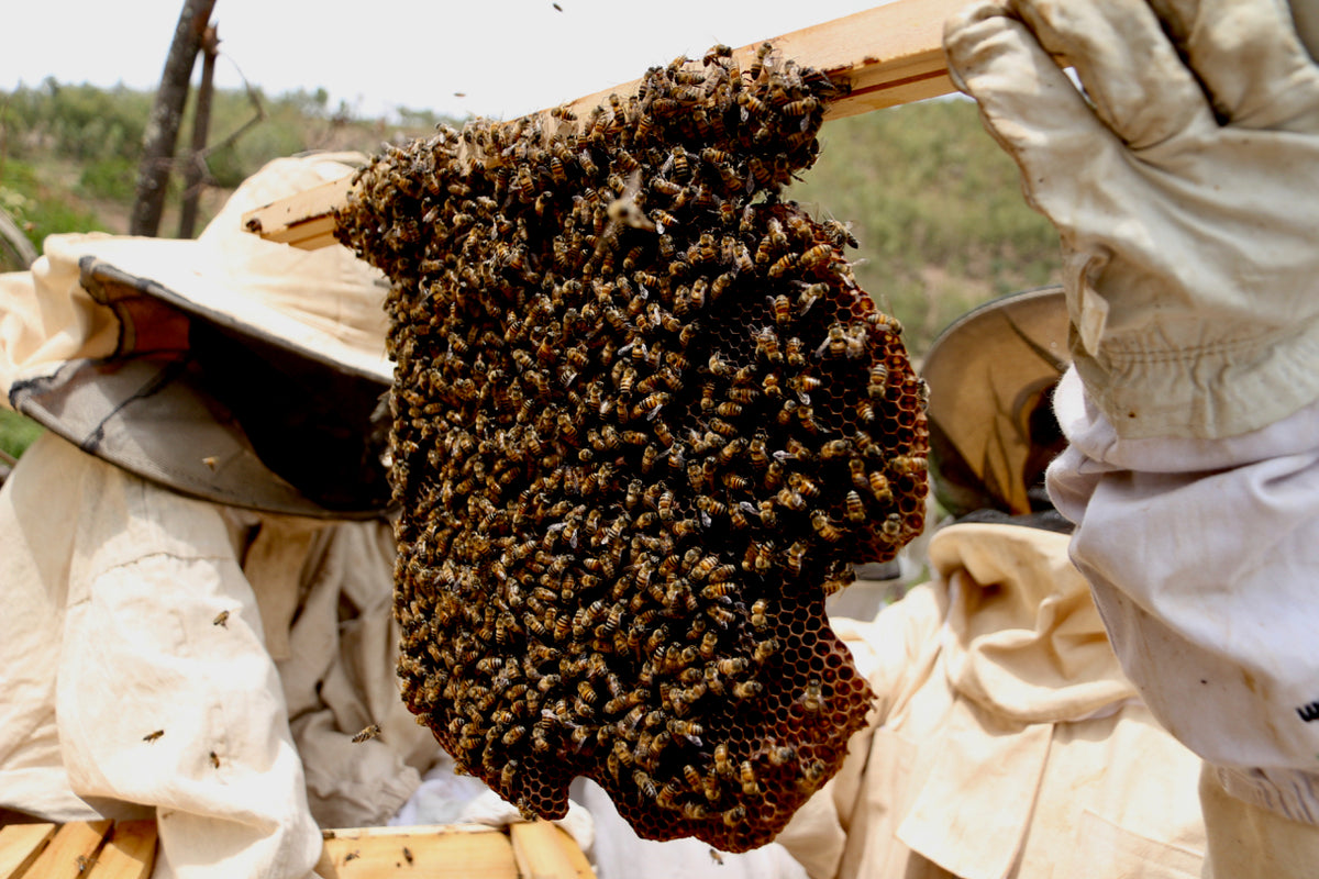 Small Beeswax Heart Candle