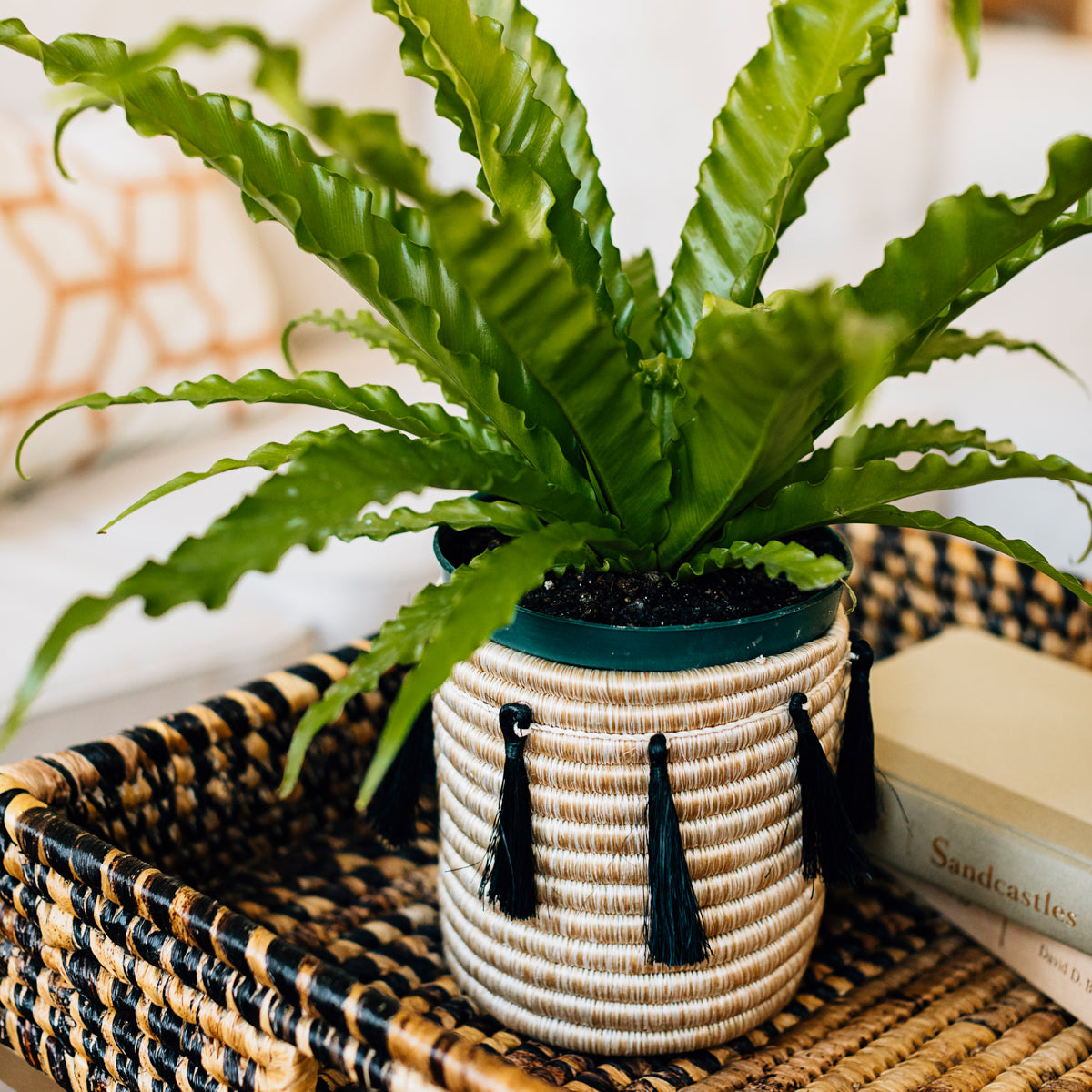 Sutton Woven Storage Basket and Onyx Tassel Set