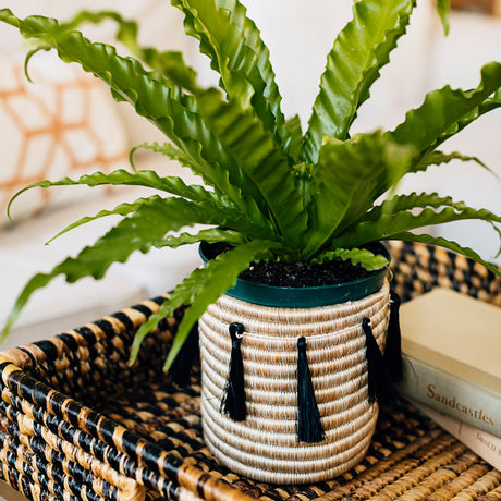 Sutton Woven Storage Basket and Onyx Tassel Set