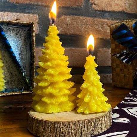 Pine Tree Candle Set in a Banana Leaf Box