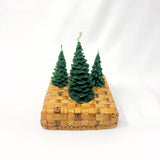 Limited Edition Pine Tree Candles in a Banana Leaf Box