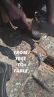 From Tree to Table Video