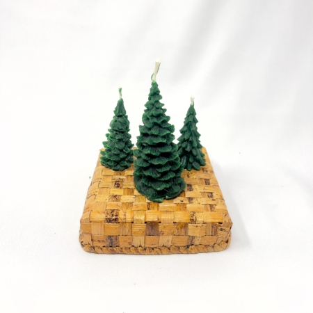Limited Edition Pine Tree Candles in a Banana Leaf Box