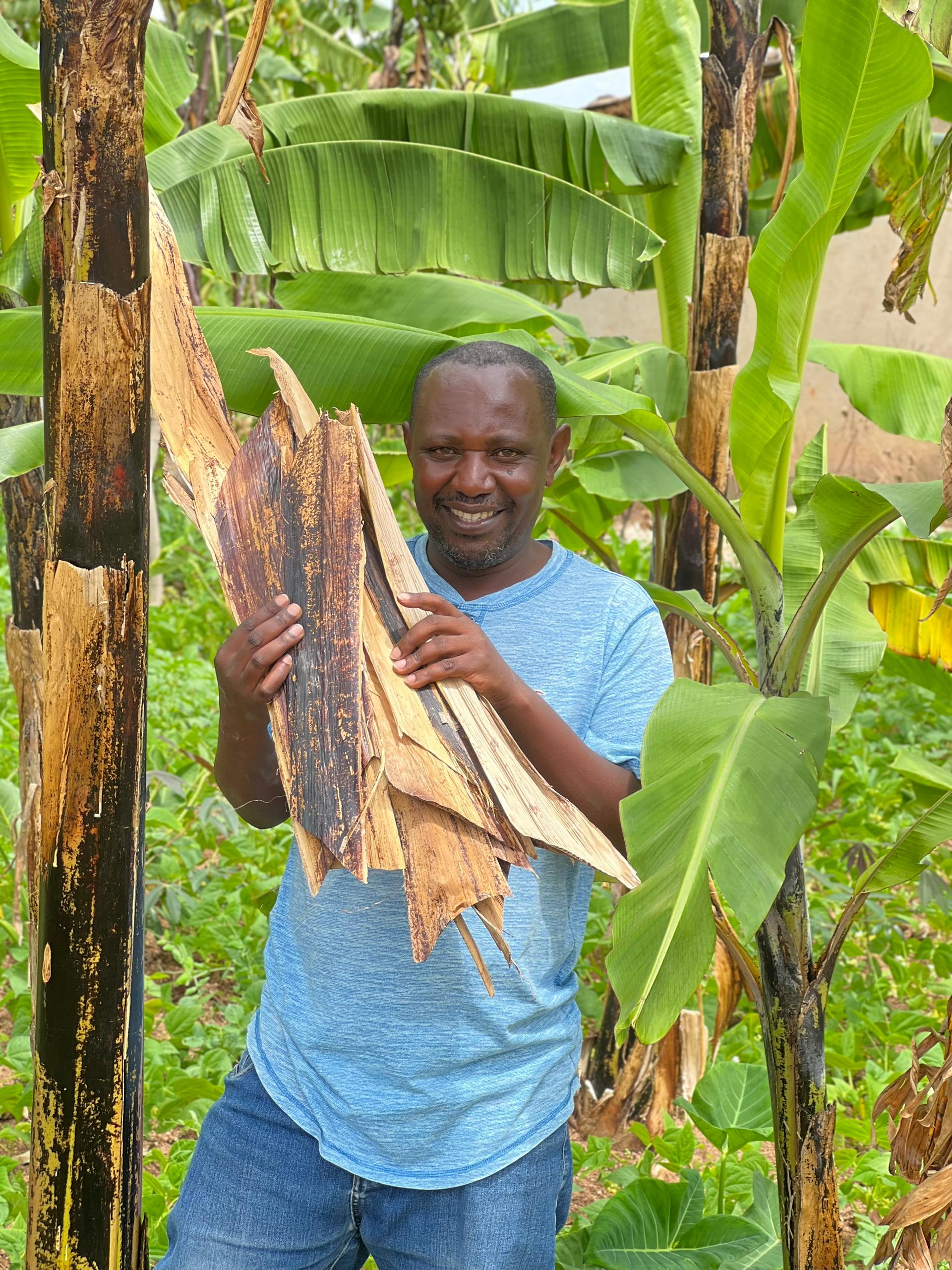 venant with banana leaf
